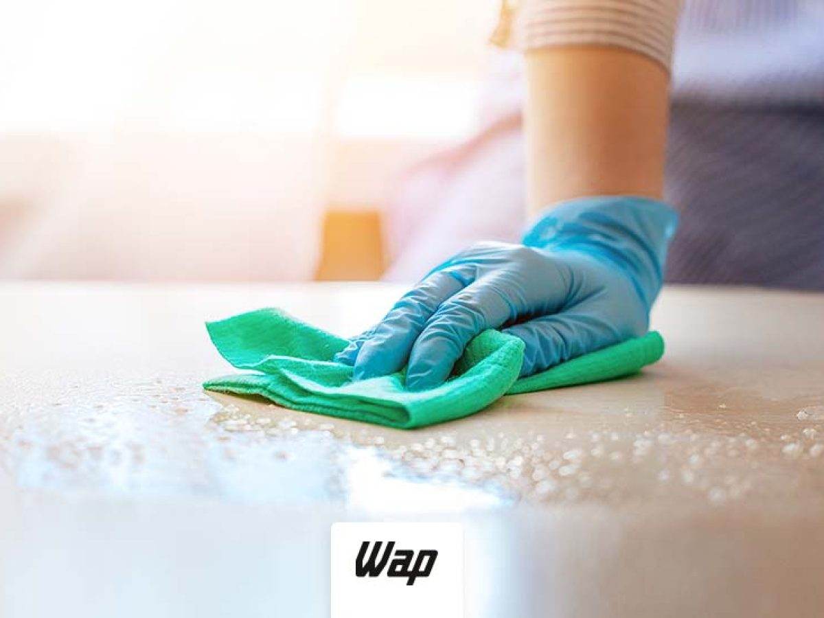 Pequenos Eletrodomésticos: Renove o Brilho e a Funcionalidade - inspiração 2