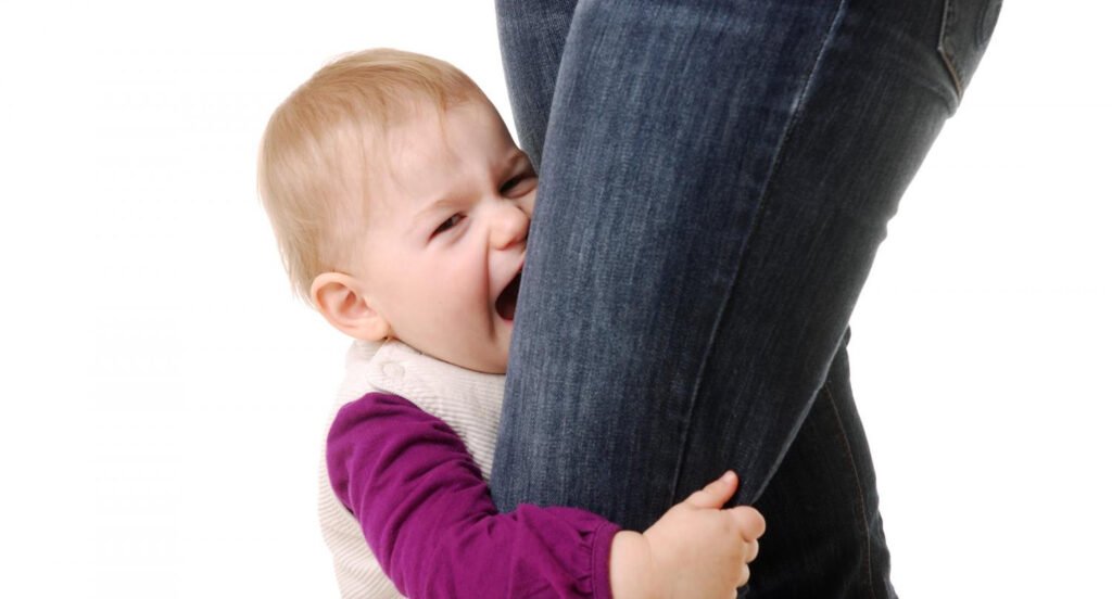 Objetos de Transição: O Conforto de um Amiguinho Familiar - inspiração 2