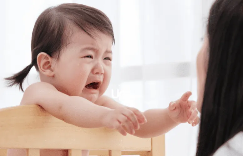 Explique o Retorno, Mesmo Que Ele Não Entenda: A Comunicação Que Cria Vínculo - inspiração 1