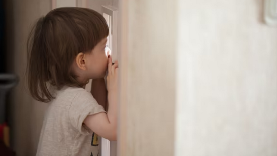 Crie um 'Porto Seguro': Onde Ele se Sente Confortável - inspiração 2