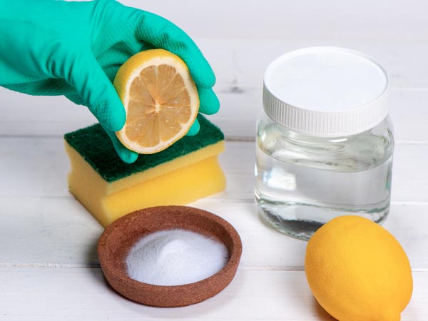 Por Que a Cebola e o Limão São Seus Novos Aliados? - inspiração 2