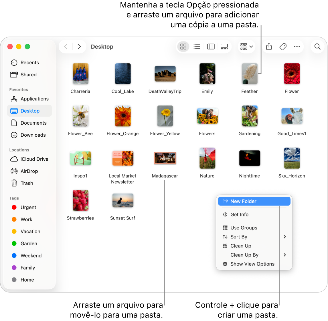 Personalizando o Dock: Seus Favoritos Sempre Presentes - inspiração 1