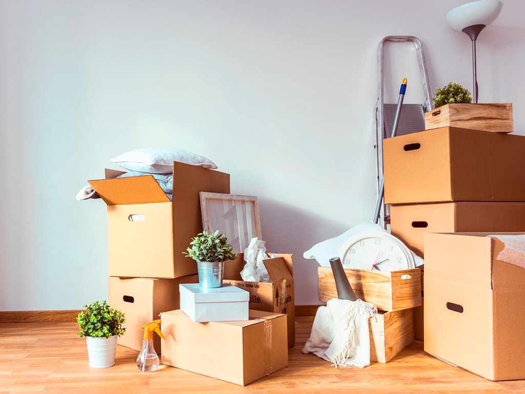 Planejamento Antecipado: O Pilar da Mudança Tranquila - inspiração 1