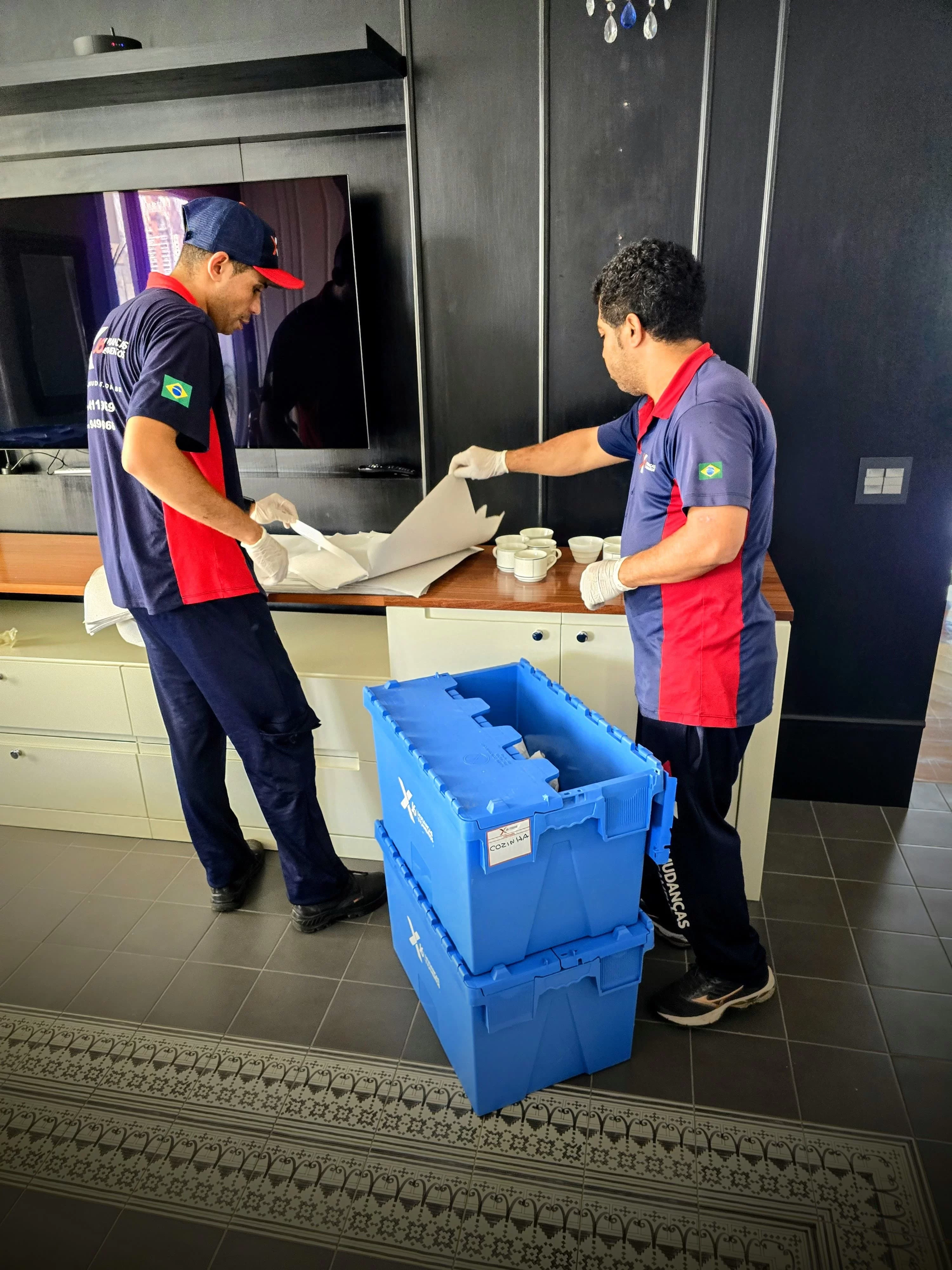 Cuidados Especiais: Itens Frágeis e de Valor Sentimental - inspiração 2