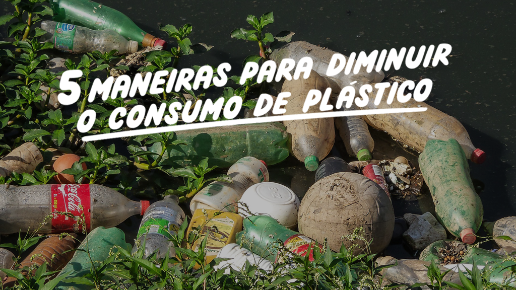 Cozinha Consciente: Substituições Inteligentes Para Evitar o Filme Plástico - inspiração 1