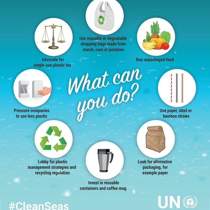 Compras Online e Embalagens: Como Minimizar o Impacto - inspiração 2