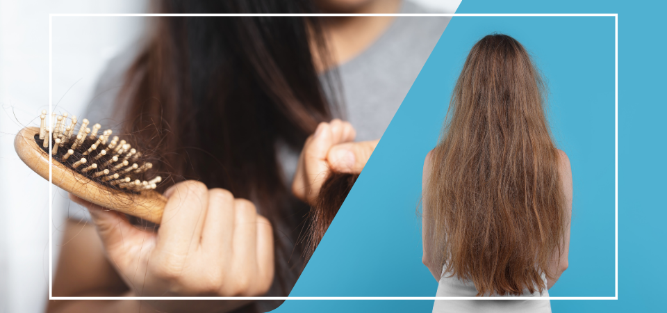 O Ciclo Natural do Seu Cabelo: Entendendo a Troca Sazonal - inspiração 2