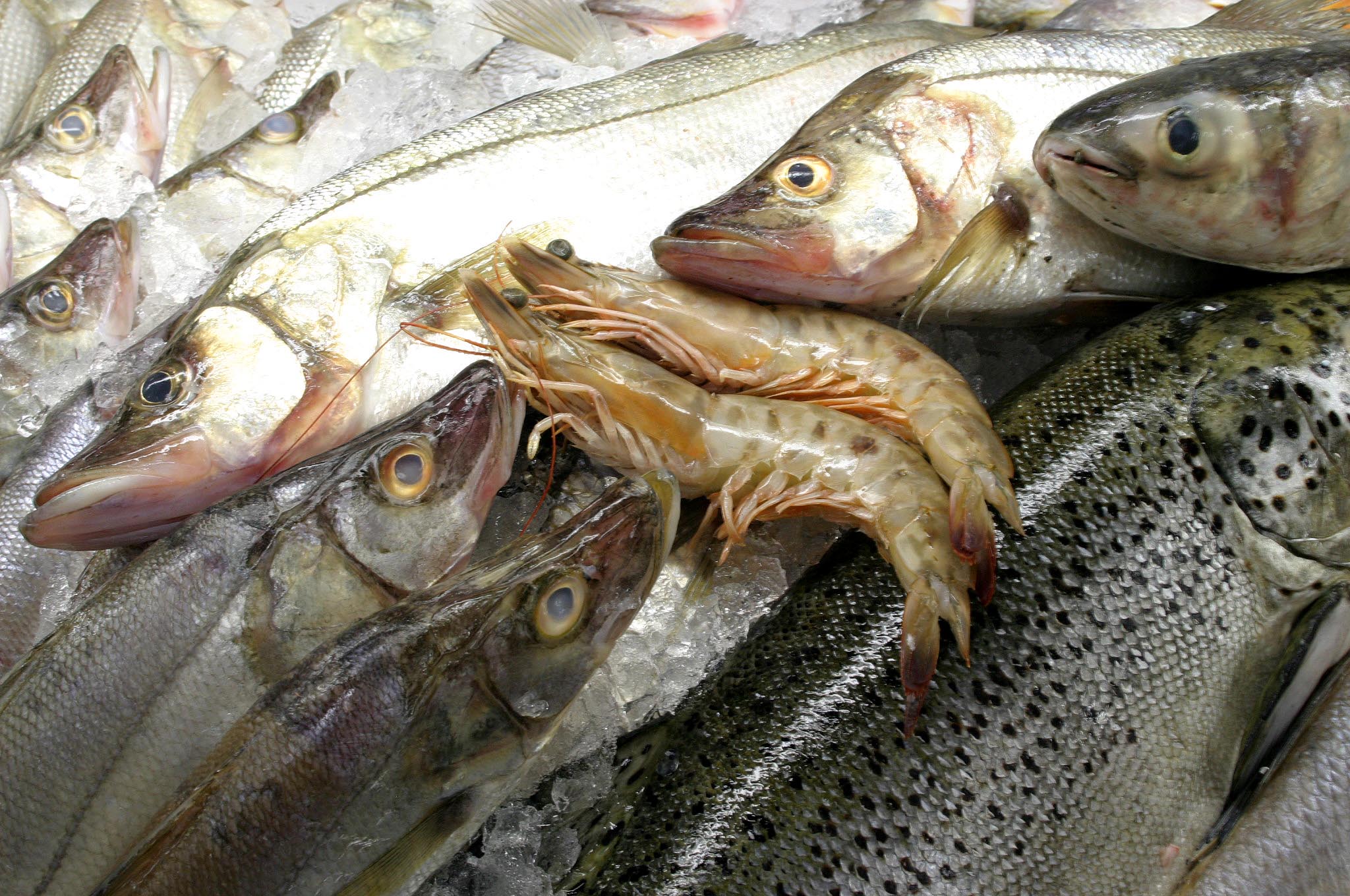 Aproveite Promoções e Descontos: Fique atenta às ofertas do dia. Carnes e peixes em promoção são ótimas oportunidades para economizar. - inspiração 2