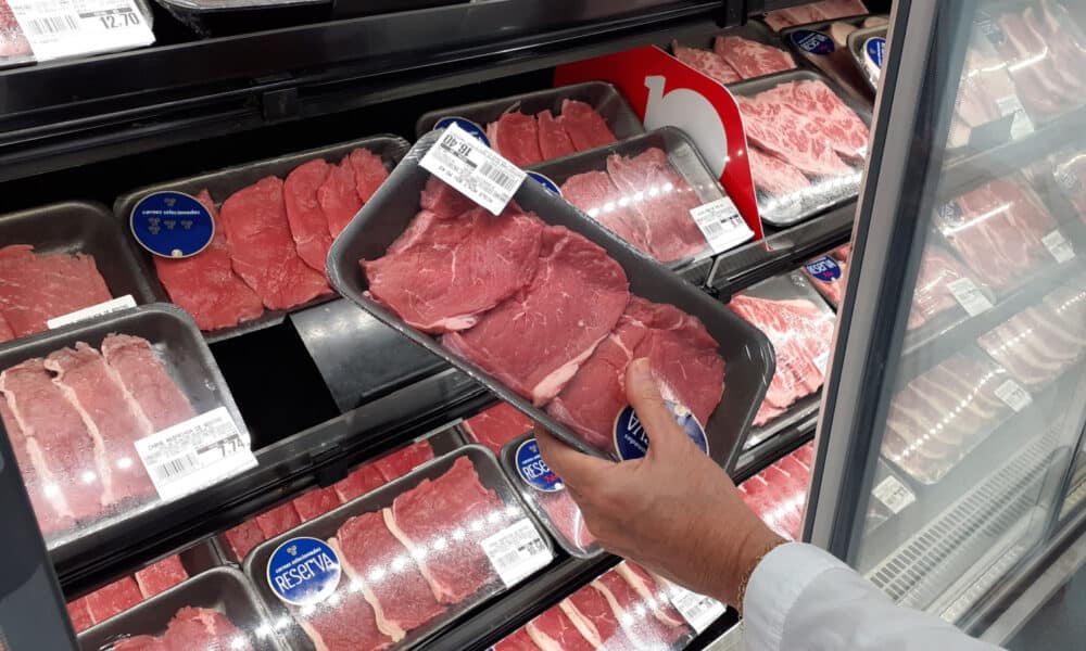 Compre Peixes da Época: Assim como frutas, peixes têm épocas de maior abundância. São mais baratos e geralmente de melhor qualidade. - inspiração 2