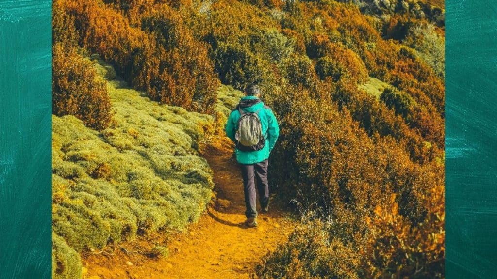 Olhar Atento: Desenvolvendo Sua Capacidade de Observação Urbana - inspiração 1