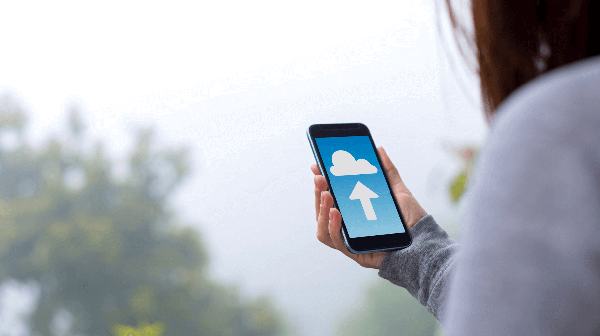 Revise Periodicamente: Mantenha Seu Acervo Sempre em Dia - inspiração 2