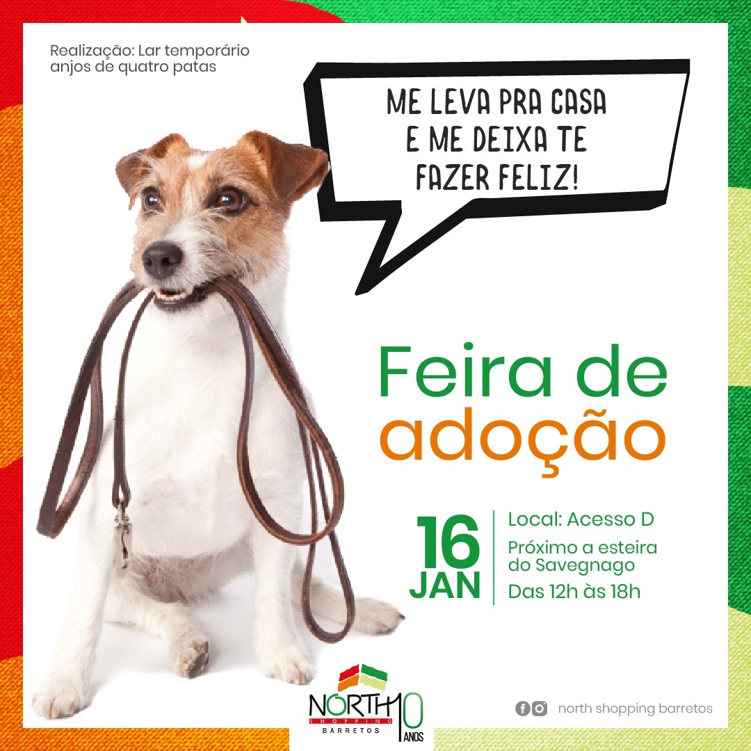 Por Que Levar as Crianças a Feiras de Adoção? Uma Lição de Empatia - inspiração 2