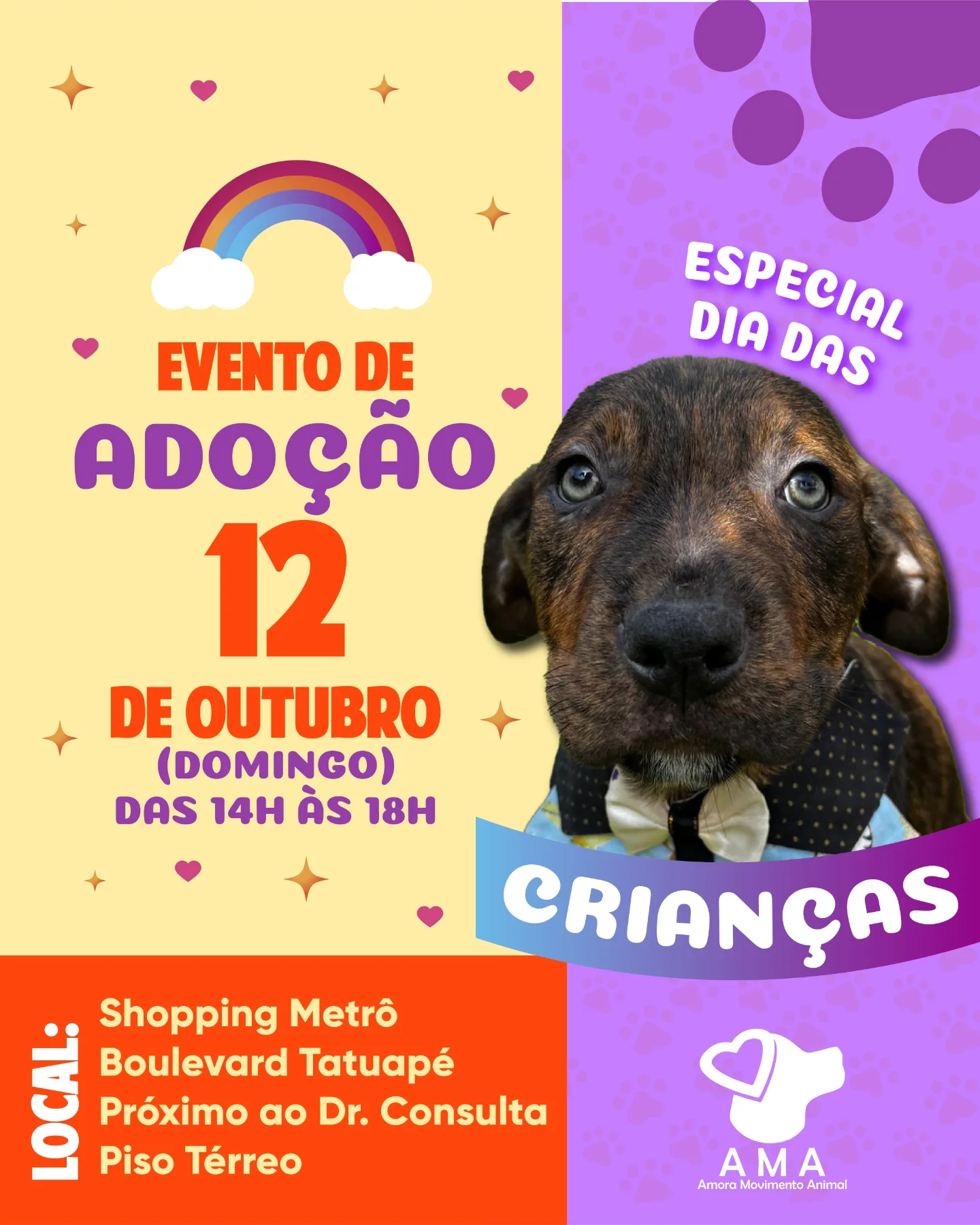 Próximos Passos: Incentivando o Amor pelos Animais, Adotados ou Não - inspiração 2