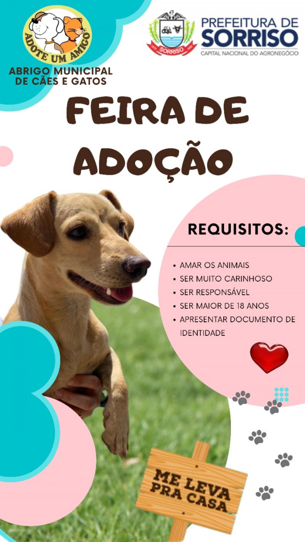 Conversa Prévia: Explicando o Que Elas Vão Ver e Sentir - inspiração 2