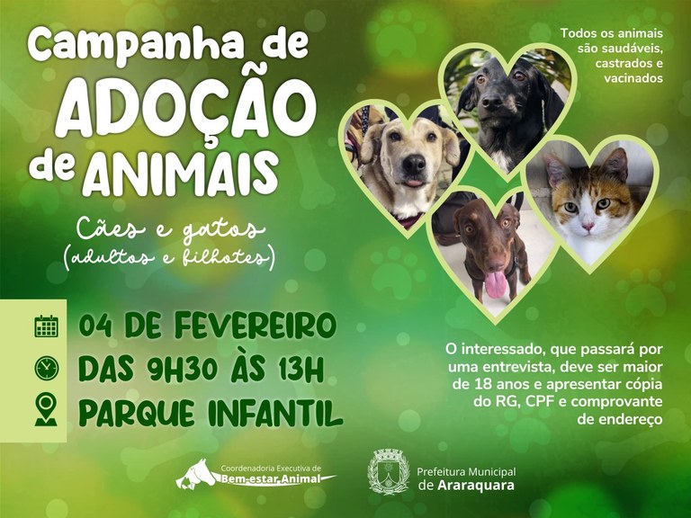 Definindo Expectativas Claras: Nem Todo Passeio Termina com um Novo Amigo - inspiração 2