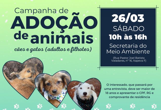 Ensinando o Respeito aos Animais: Como Agir e o Que Evitar - inspiração 1