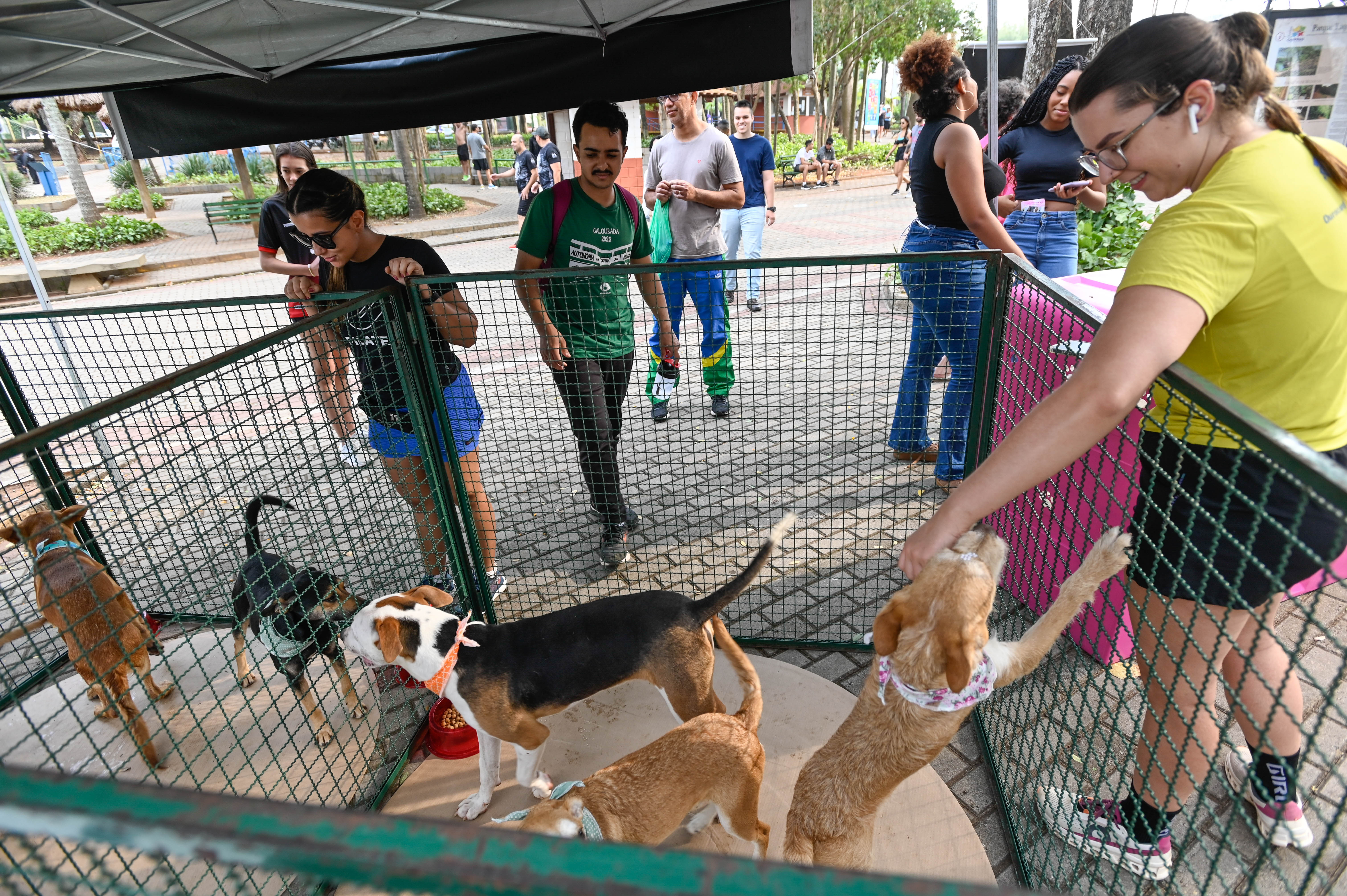 O Papel dos Pais na Mediação das Interações - inspiração 1