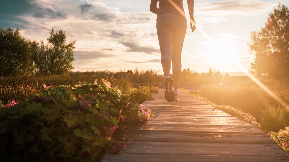 Planejamento é a Chave: Transformando Tarefas em Caminhadas Divertidas - inspiração 1