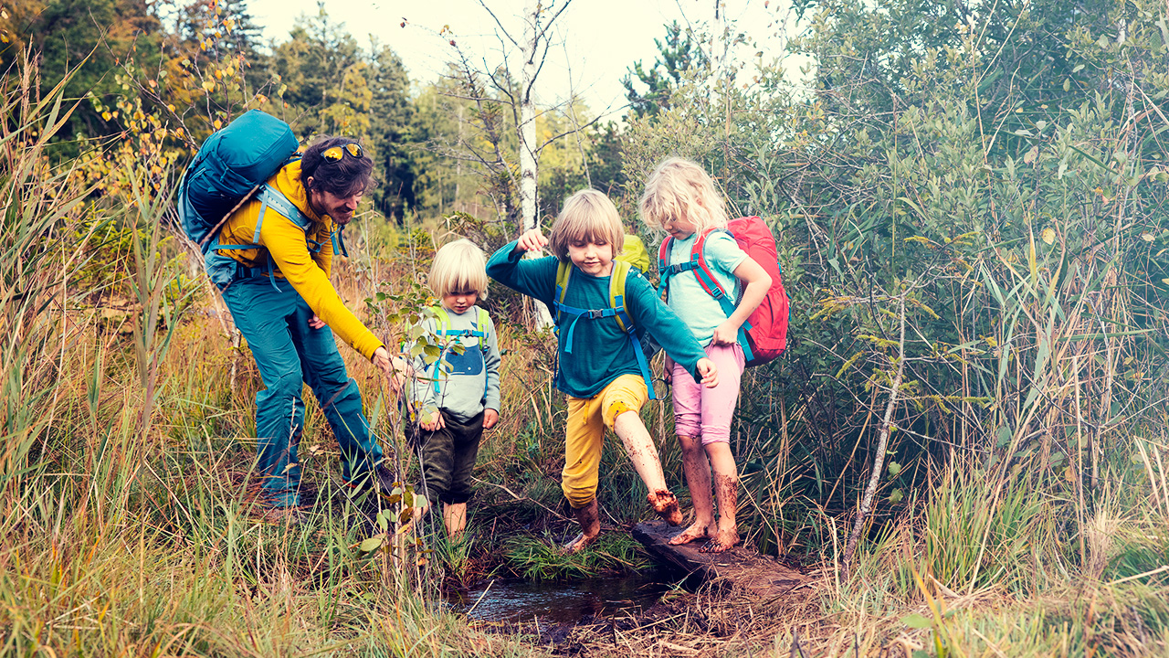 Trilha do Ribeirão (Parque Estadual da Cantareira, São Paulo): Um convite à biodiversidade paulistana, com caminhos planos e informativos. - inspiração 1