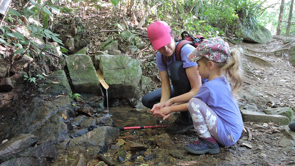 Parque Burle Marx (São Paulo, São Paulo): Um refúgio urbano com caminhos suaves entre jardins exuberantes, perfeito para uma tarde tranquila. - inspiração 1