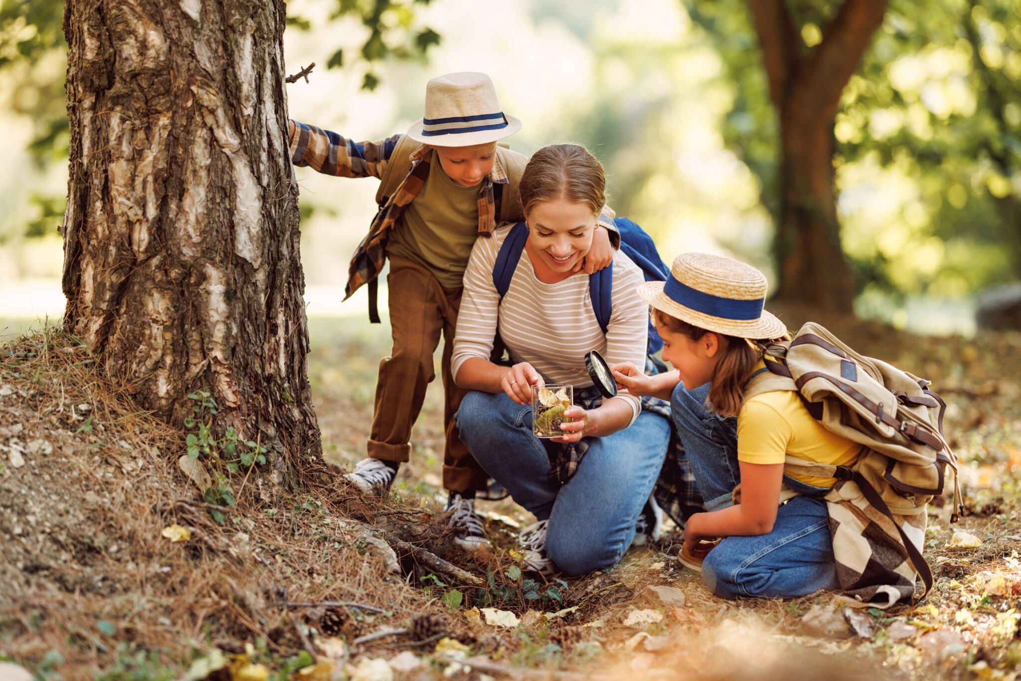Bosque da Leitura (São Paulo, São Paulo): Uma experiência lúdica e educativa, combinando natureza com elementos culturais e artísticos. - inspiração 2