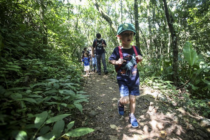 Parque Ecológico de São Bernardo do Campo (São Bernardo do Campo, São Paulo): Diversas rotas curtas e bem sinalizadas, com lagos e áreas verdes ideais para famílias. - inspiração 2