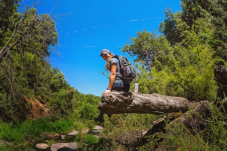 Hidratação e Nutrição: Combustível para sua Aventura - inspiração 1