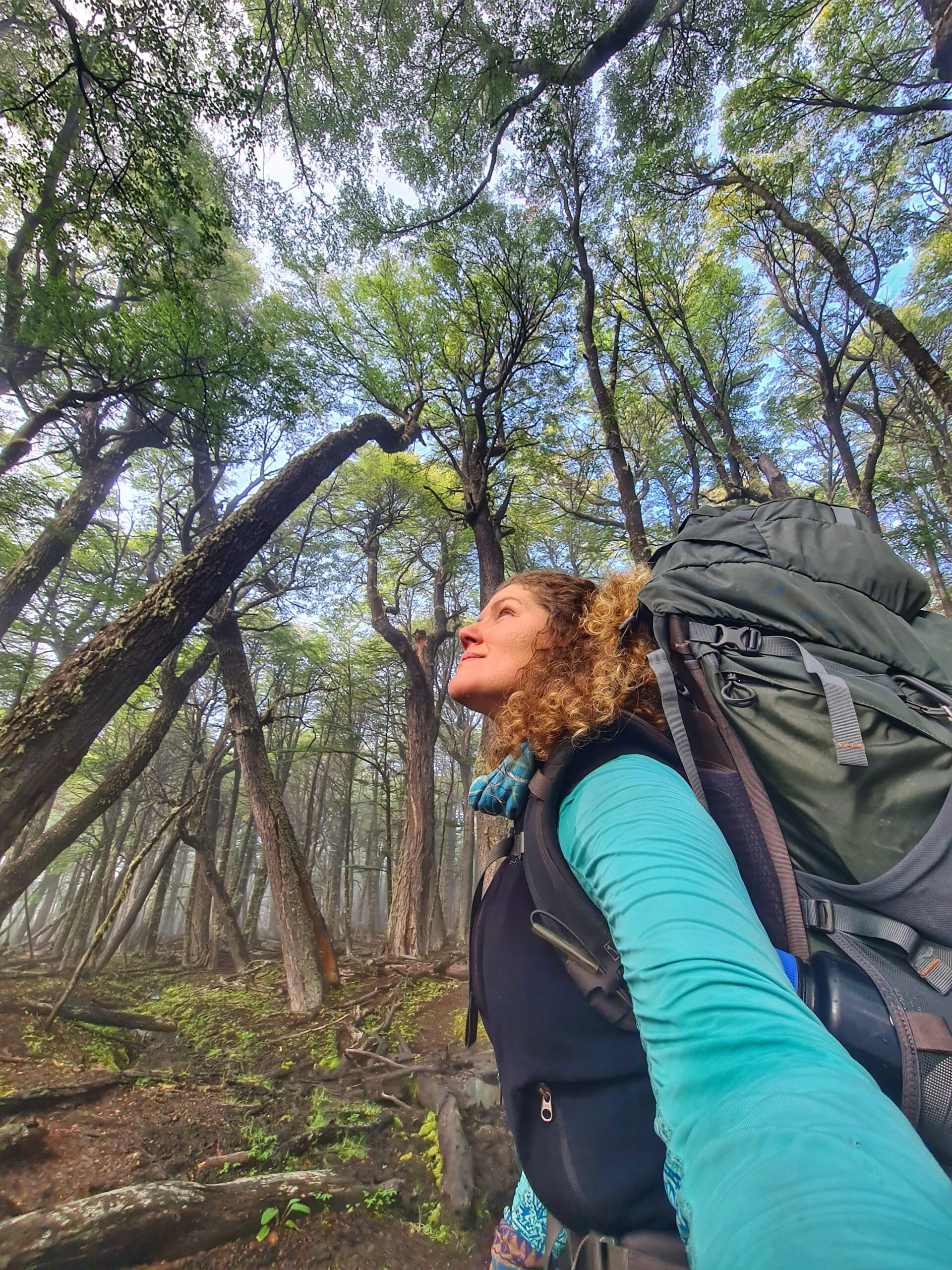 Navegação Descomplicada: Ferramentas e Técnicas Úteis - inspiração 1