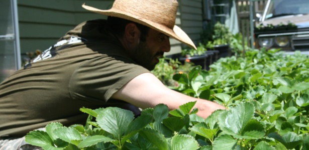 Começando sua Horta: Do Planejamento à Colheita - inspiração 2