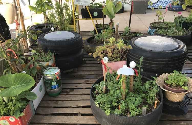 Iniciando a Família na Prática: Engajando Todos na Sustentabilidade - inspiração 1