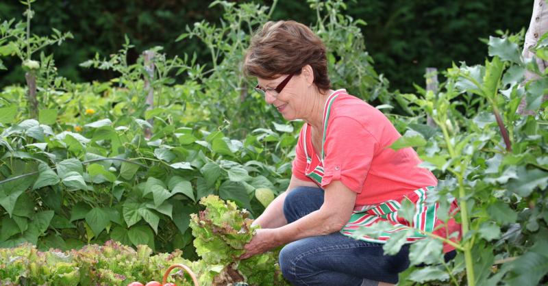 Guia Essencial de Irrigação: Água na Medida Certa - inspiração 1