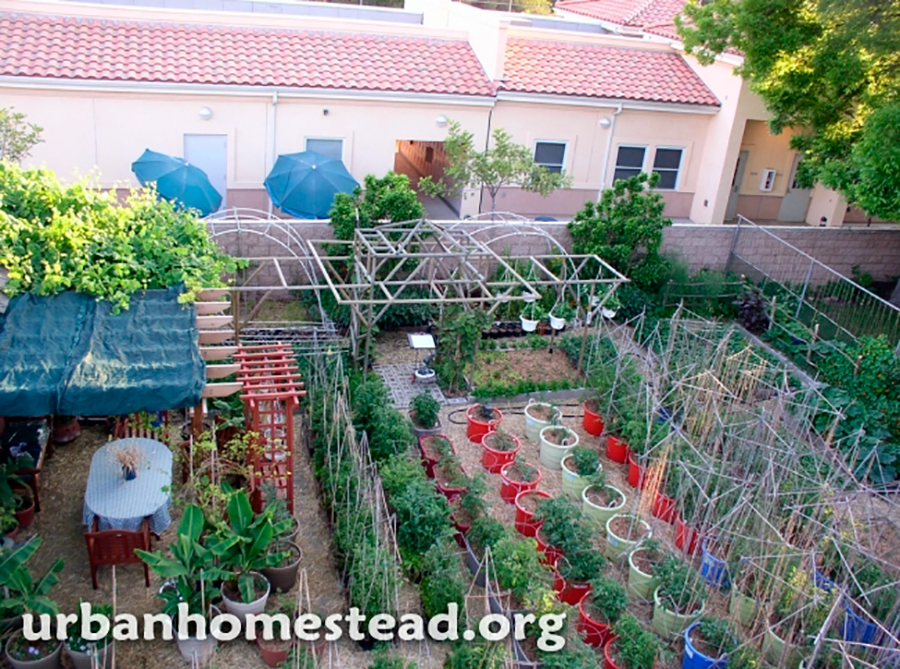 A Arte da Reciclagem Criativa: Dando Nova Vida aos Objetos - inspiração 1