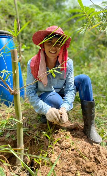 Trabalho e Produtividade: Gerenciando sua Carreira em Movimento - inspiração 1