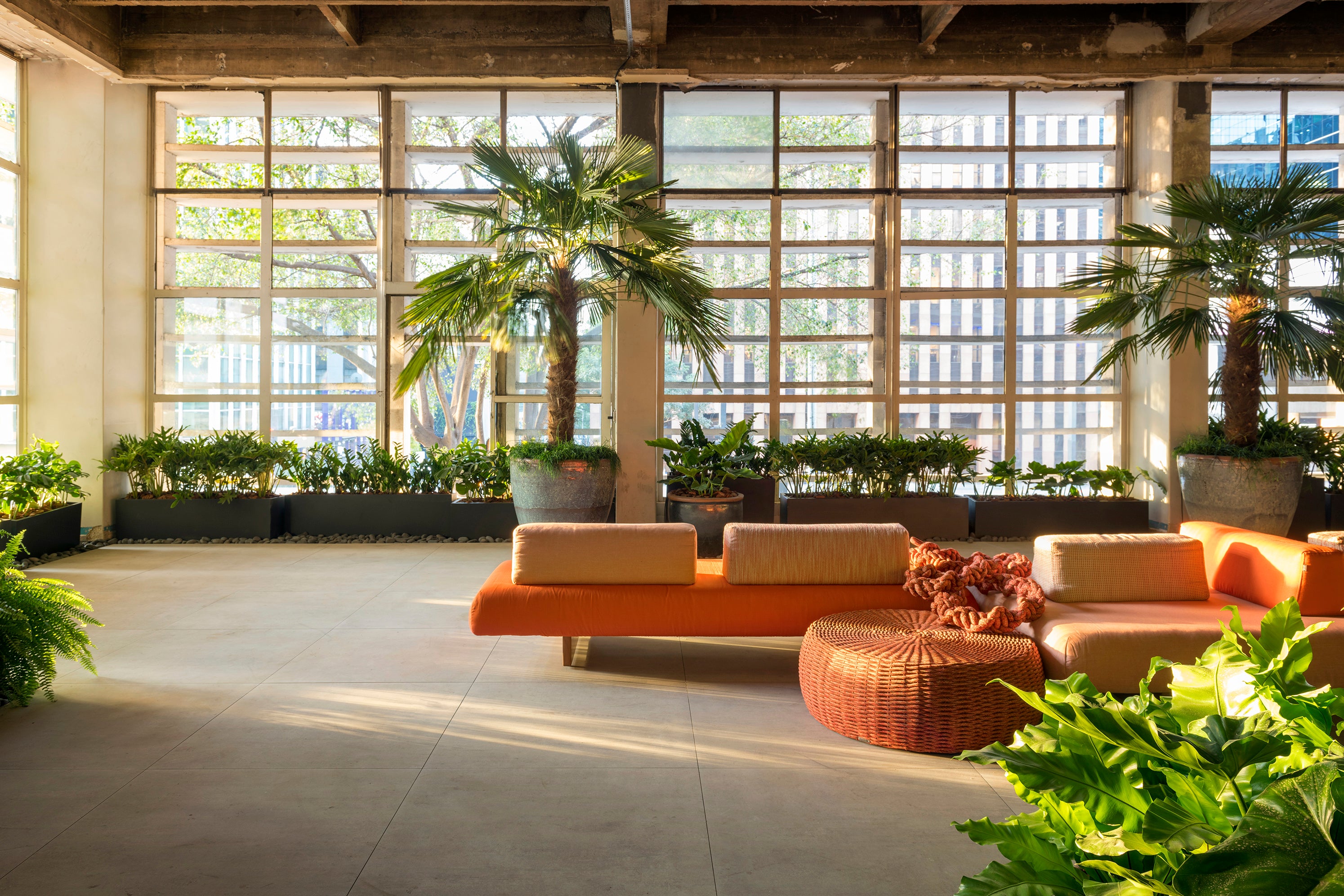 A Importância da Iluminação: Natural e Artificial - inspiração 2