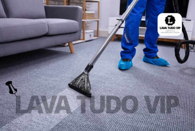 O Poder do Vapor: Higienização Profunda sem Químicos Agressivos - inspiração 1