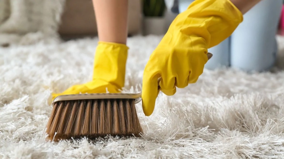 Desodorizando o Sofá e os Tapetes: Diga Adeus aos Maus Odores - inspiração 2