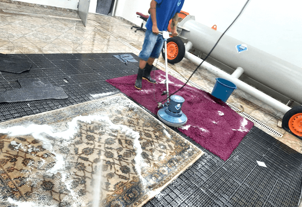 Secagem Correta: O Segredo para Evitar Mofo e Mau Cheiro - inspiração 2