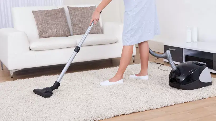 Limpeza de Estofados em Couro: Brilho e Conservação Duradoura - inspiração 2