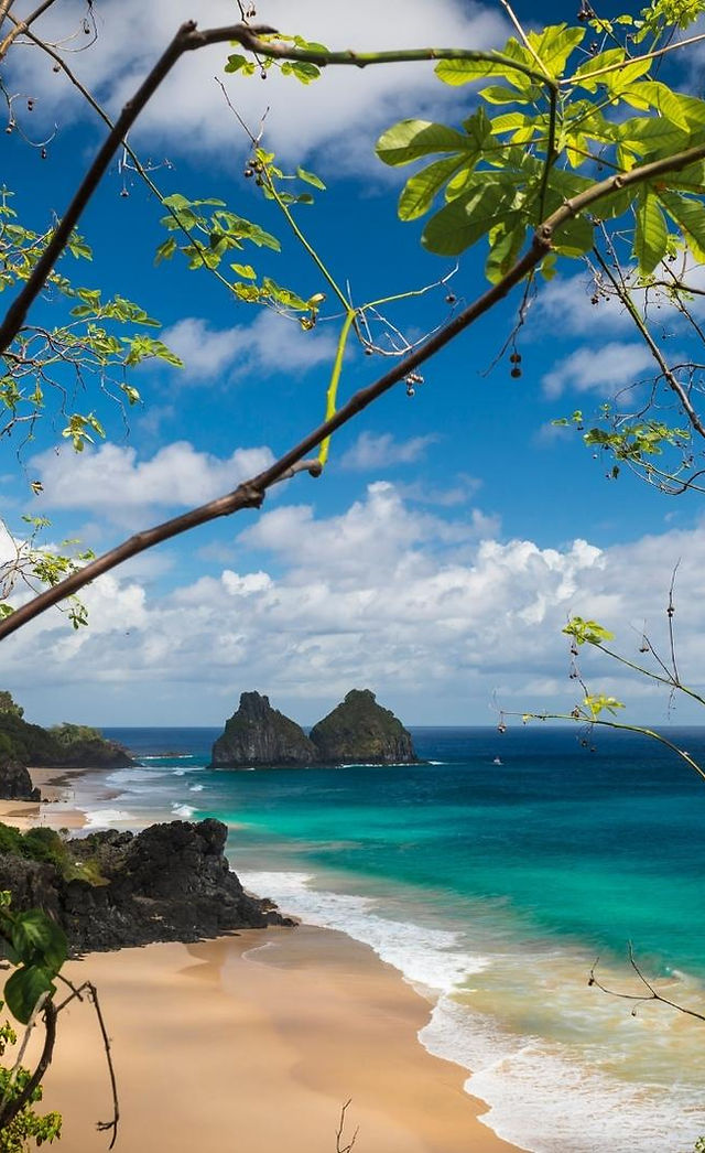 Dicas de Restaurantes e Bares: Sabores e Ambientes para Todos os Gostos - inspiração 1