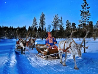 Compras Imperdíveis: Lembrancinhas e Tesouros Finlandeses - inspiração 1