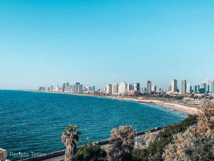 Explorando a Cidade Branca: Arquitetura Bauhaus e Vibe Praiana - inspiração 2