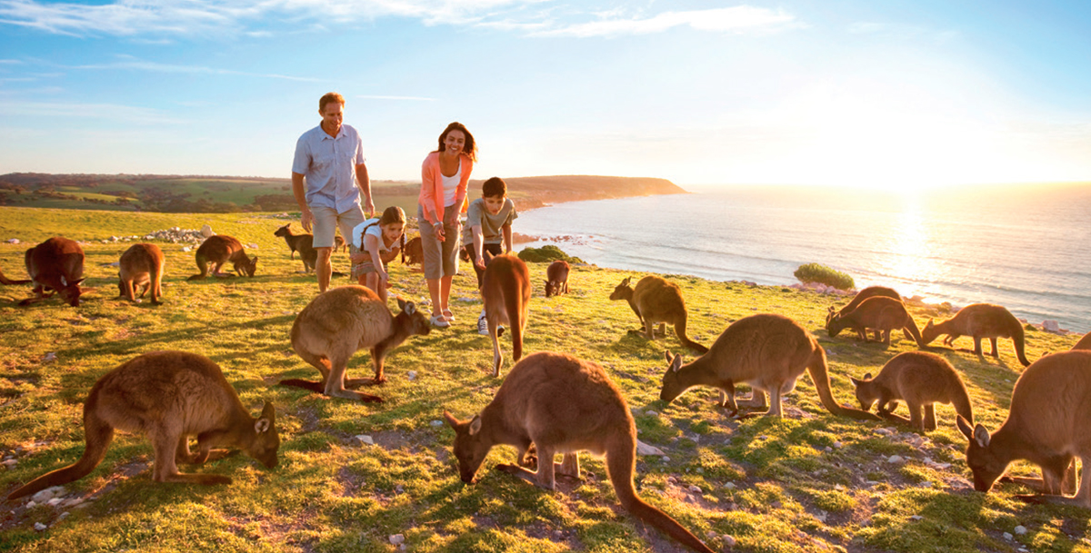 Planejamento Financeiro Inteligente: Orçamento Sem Surpresas - inspiração 2