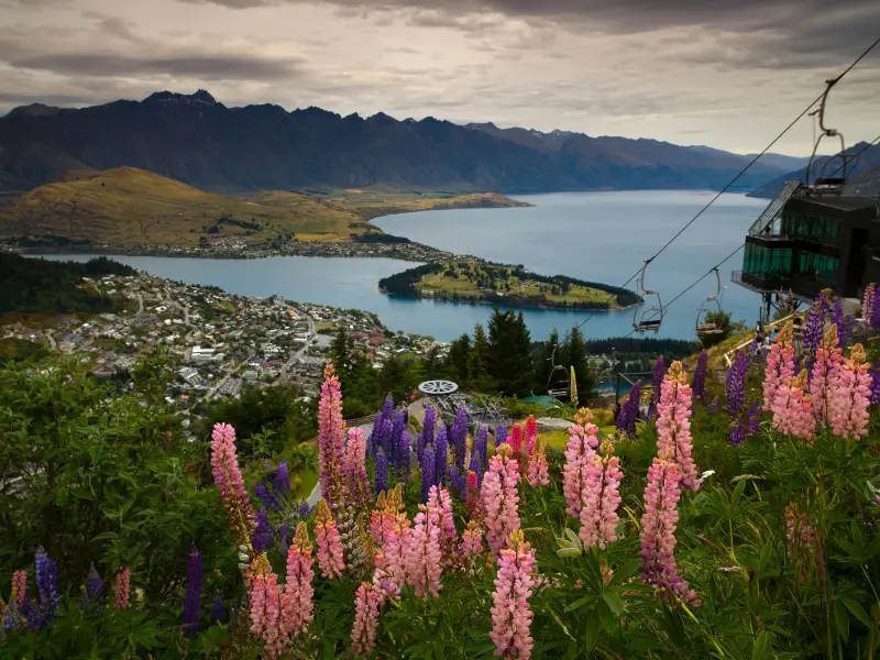 Documentação em Dia: Vistos, Passaportes e o Essencial - inspiração 1