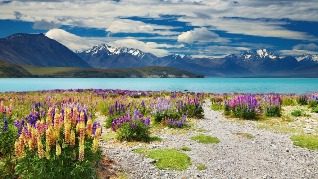 Hospedagem: Do Luxo ao Hostel Charmoso, Opções para Todos os Gostos - inspiração 1