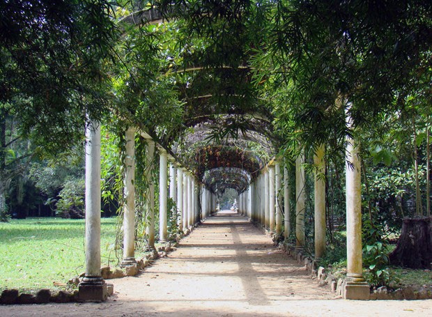 Jardim Botânico de Curitiba: Um Clássico Brasileiro que Encanta pela Arquitetura e Flora Nacional - inspiração 1