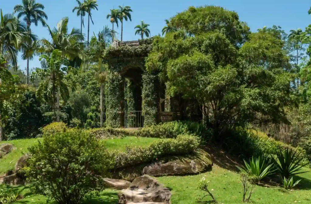 Jardim Botânico da Cidade do Cabo: Diversidade Flora Sul-Africana e Vistas Deslumbrantes - inspiração 2