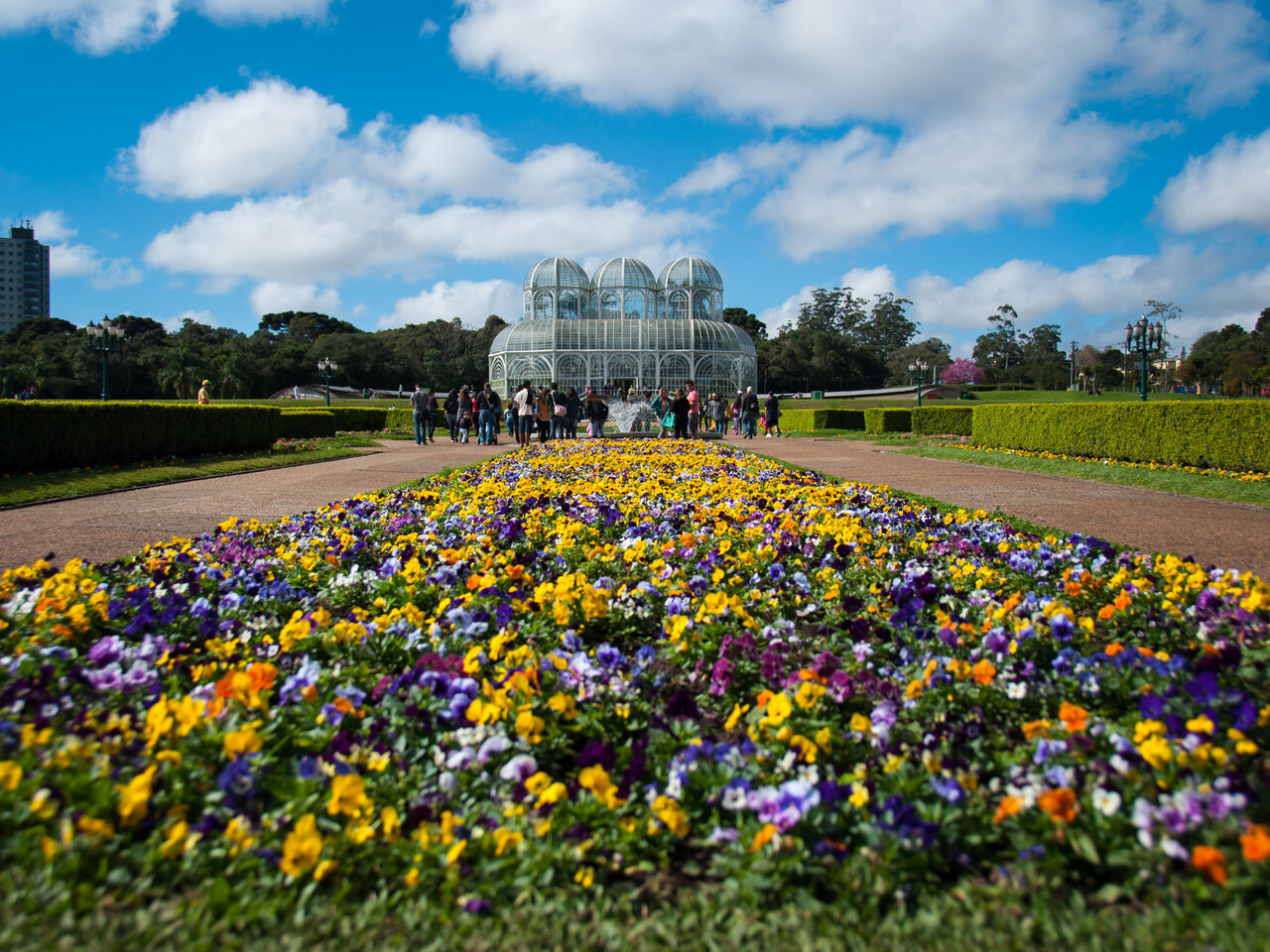 Jardim Botânico de Brooklyn, Nova York: Um Refúgio Urbano com Diversas Coleções Temáticas - inspiração 2
