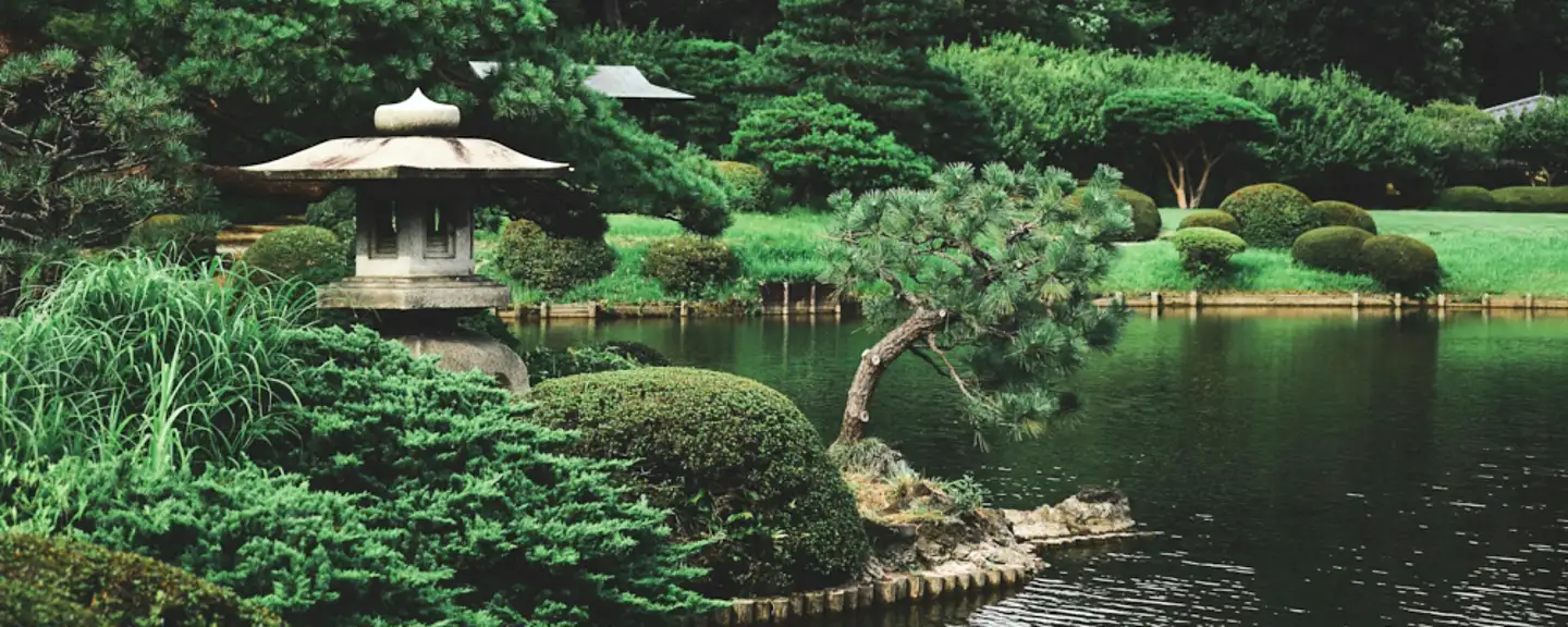 Jardim Botânico de Valparaíso, Chile: Beleza Natural e Perspectivas Únicas na Costa Chilena - inspiração 1