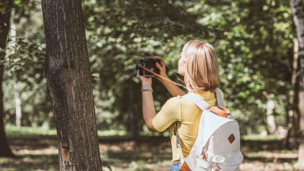 Fernando de Noronha (PE): Um Paraíso Preservado Para Uma Experiência Inesquecível - inspiração 2