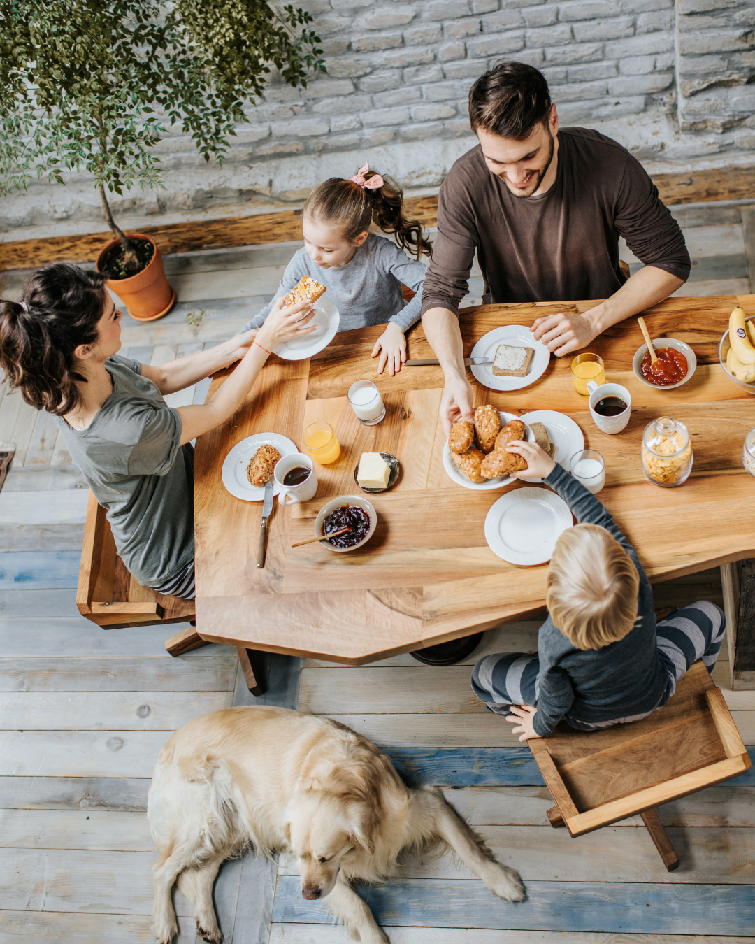 Piquenique no Quintal ou Parque: Aventuras Simples e Memoráveis - inspiração 2